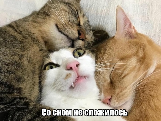 Немного милоты