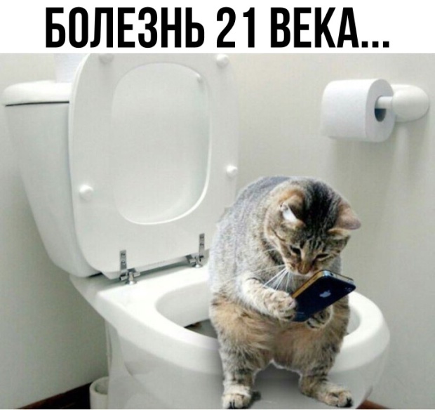 Немного милоты