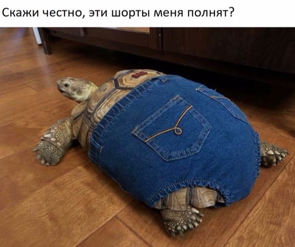 Специфический юмор