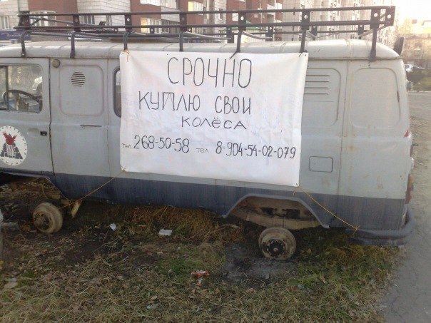 Выловлено в наших сетях