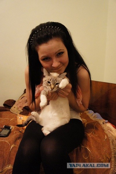 Котовторник 1.11.11