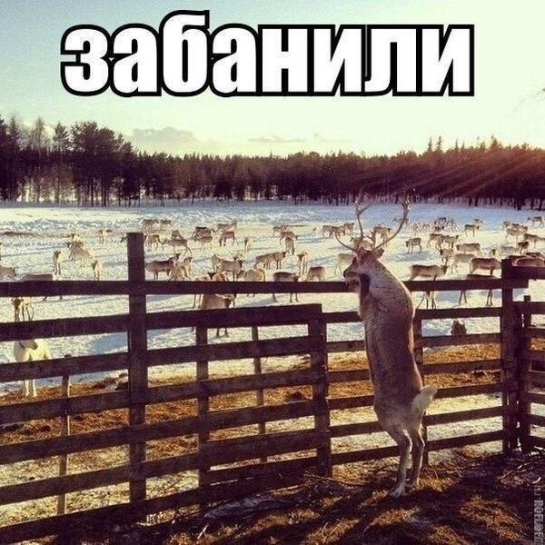 Подборка интересных и веселых картинок 21.12.18