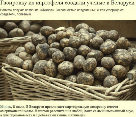 Таможня предложила запретить импортные соки, оливки и консервы