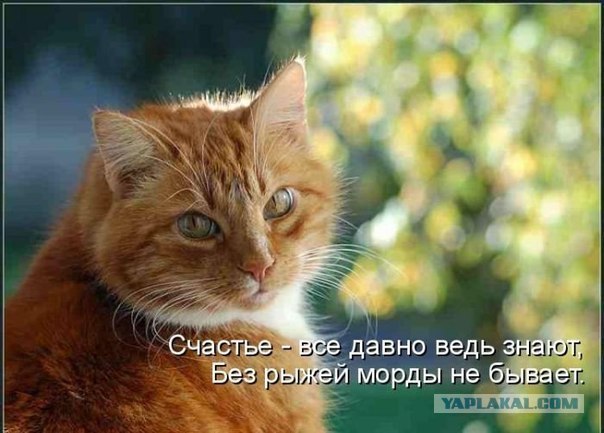 Между делом