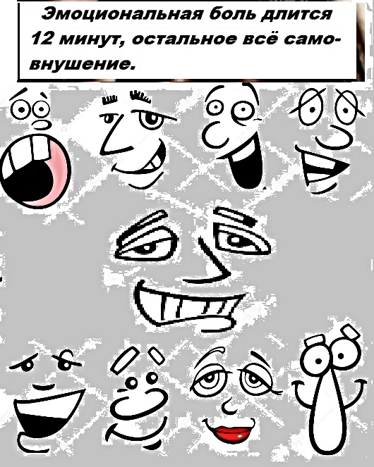 Факты на разные темы