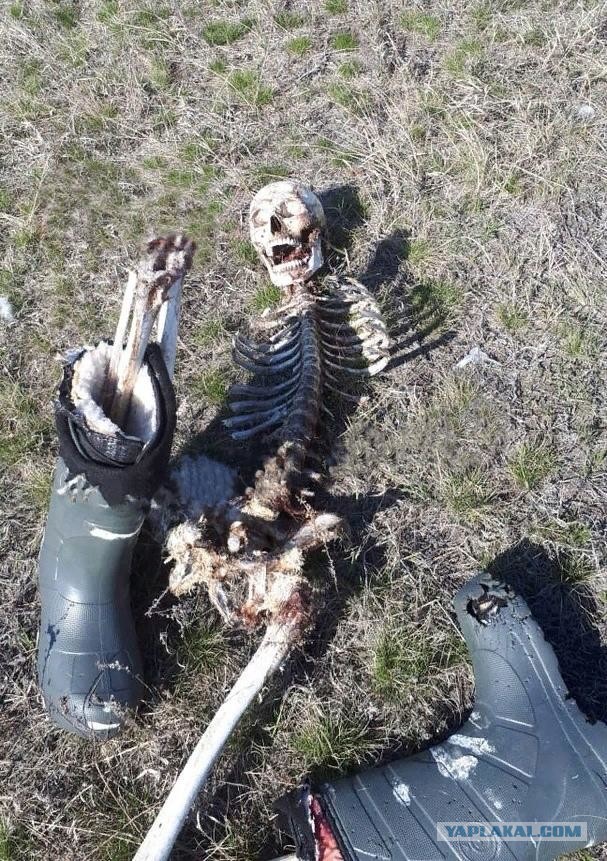 В Оренбургской области найден скелет гражданина Узбекистана, который замерз в степи