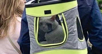 Вещи, до которых человечеству стоило додуматься гораздо раньше