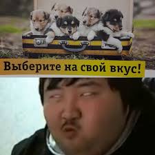 Возьми из приюта собаку