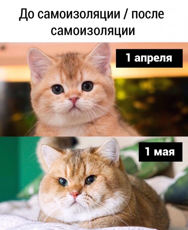Что делать если у мужа не стоит. 10 причин и личный опыт лечения