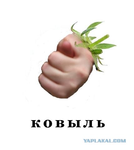Фотожаба: Лето, фрукты, генетика!