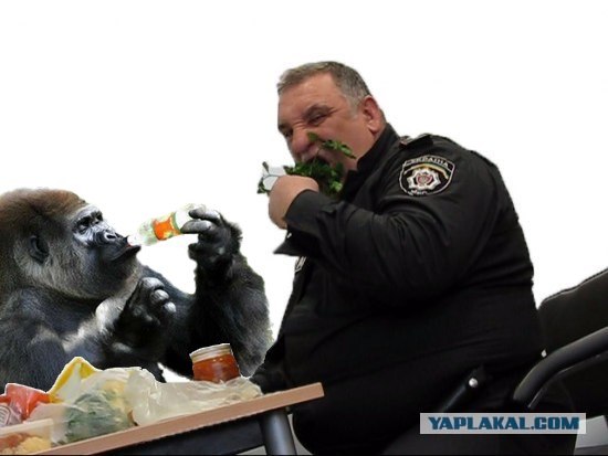 Фотожаба: Голодный охранник