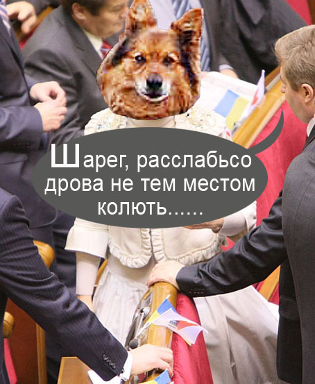 Поможем Юле с прической! Фотожаба