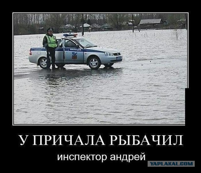 Юмор в картинках 25.10.20