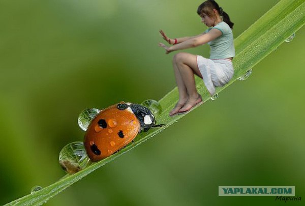 Жертва фотошопа из соцсетей