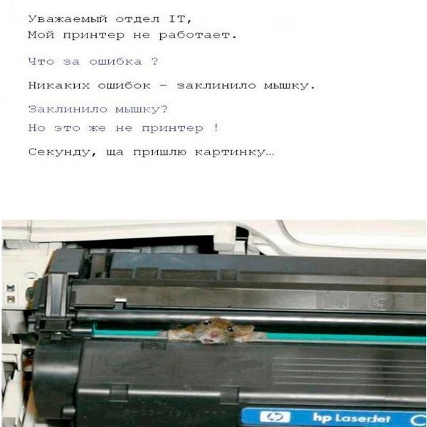 До чего можно довести технику