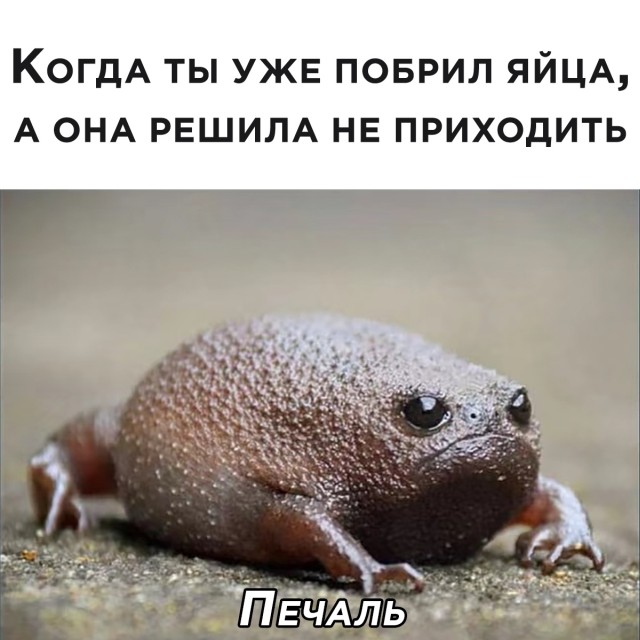 Женщина и деньги. Проституция не искоренима