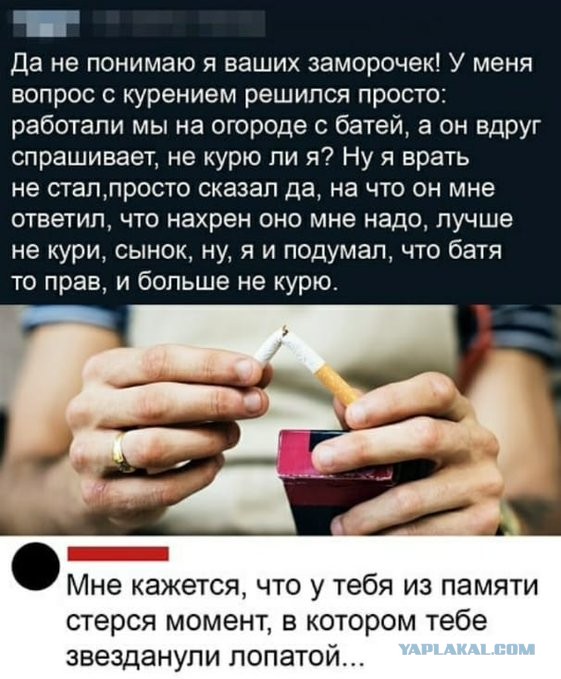 Дурацкие картинки