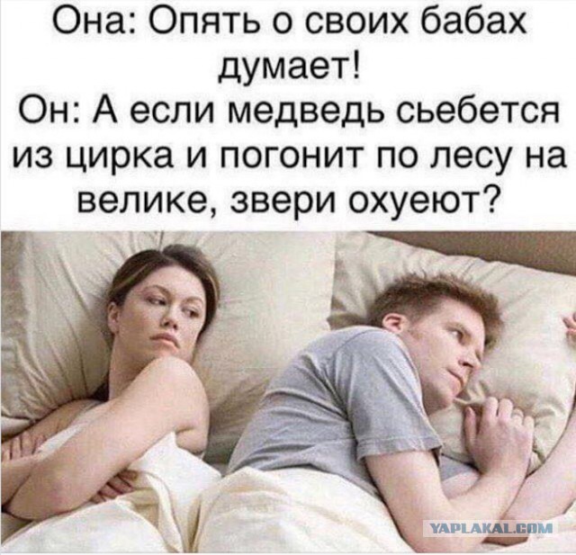 Весёлый полтишок 19.02