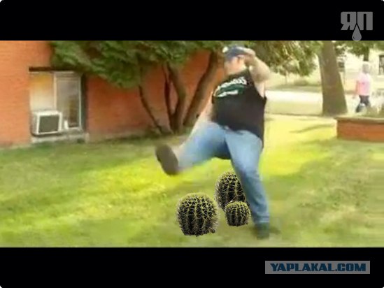 Феерический Футбольный Финт