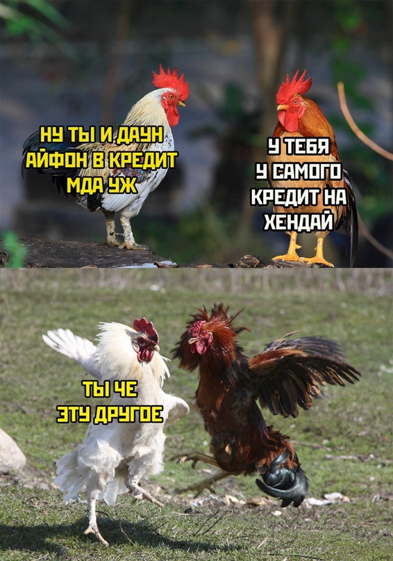 Весёлый полтишок 19.03