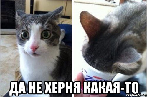 Опережают события