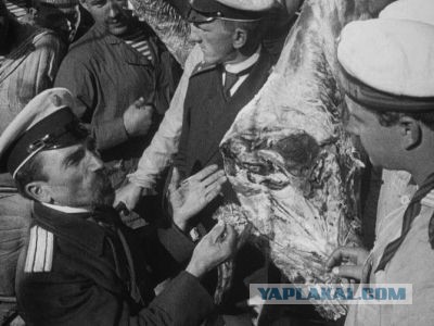 Тонны тухлого мяса на Ачинском мясокомбинате ЗАО "Назаровское"