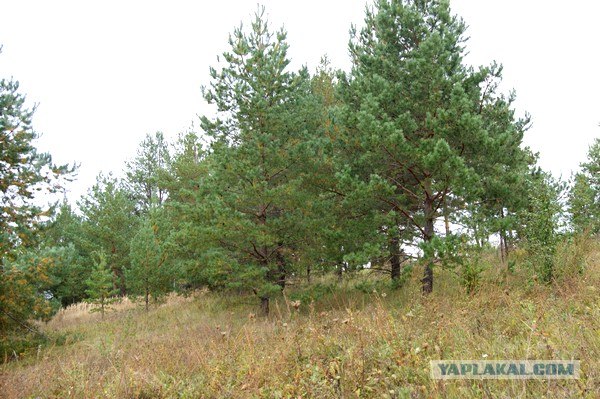 Осень в банках