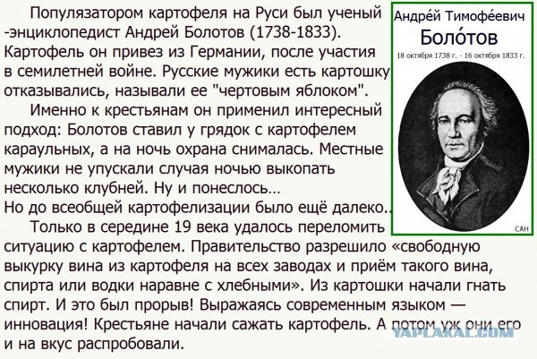 Всяческие картинки 29.11.2021
