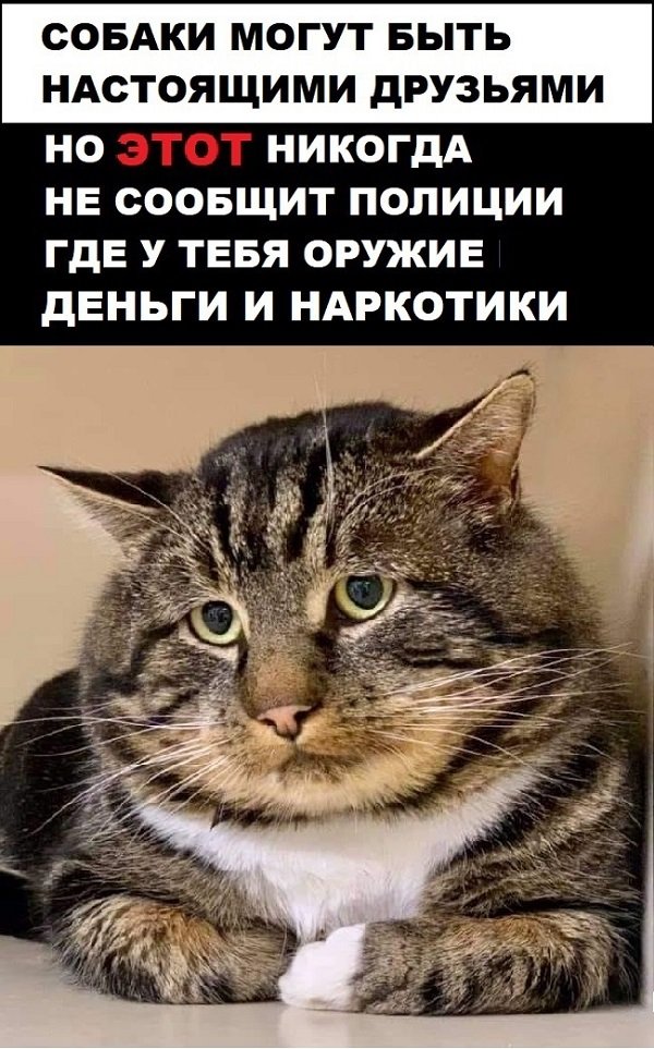 Впечатляющая смекалка