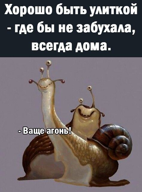 Алкопост 28.01.22