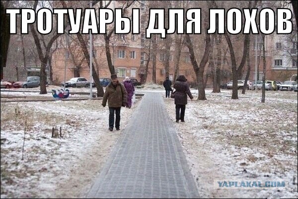 Так себе картинки 20.02.22