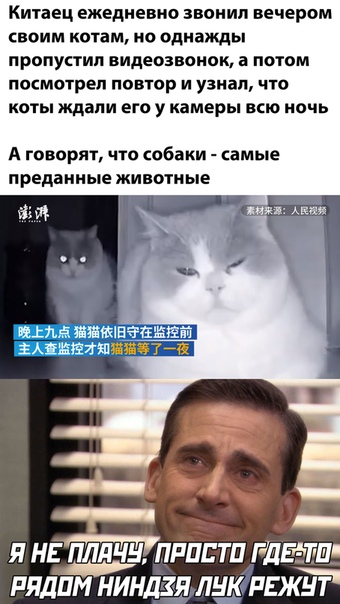 Баянисто-небаянистый юмор 30.03.22