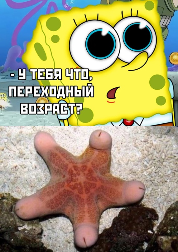 Картинки и мемы для настроения - 009