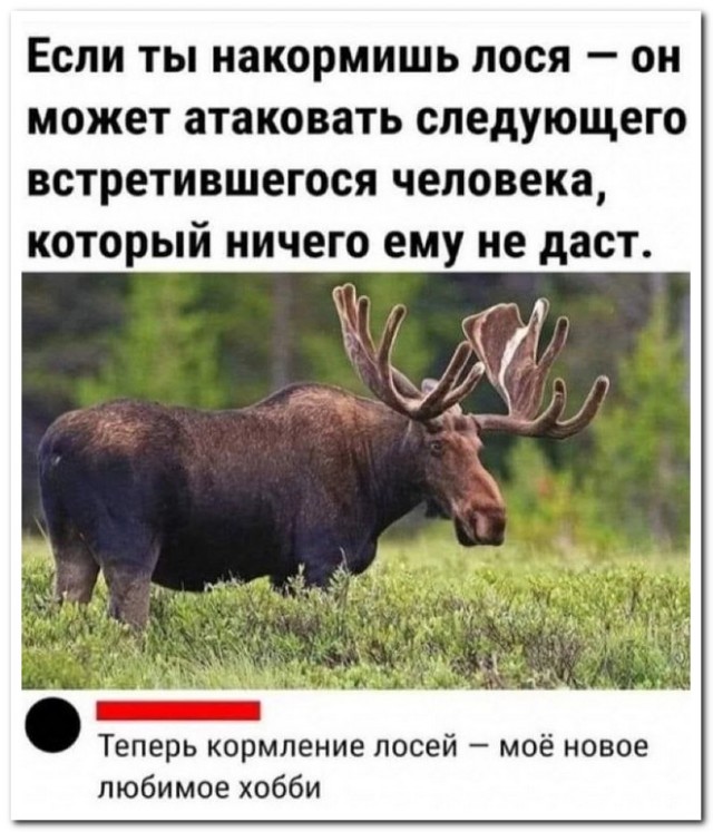 Картинки и мемы, выходные продолжаются