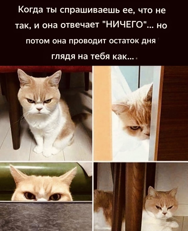Картинки и мемы для настроения - 015