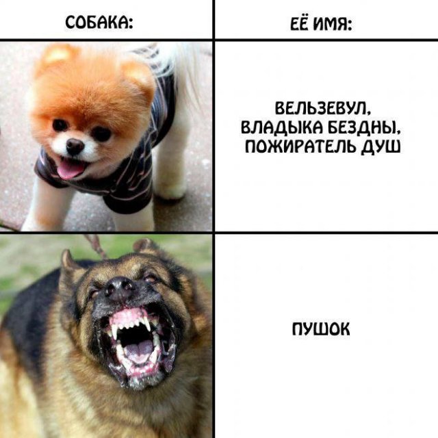 Картинки и мемы, всем хороших выходных