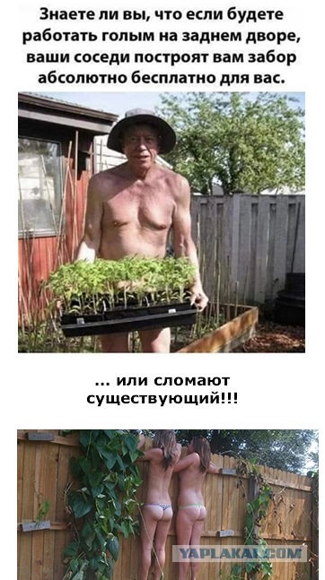 Нуштош 20.06.2023