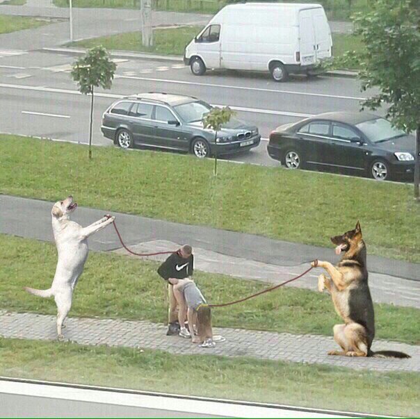 Так себе картинки 27.08.23