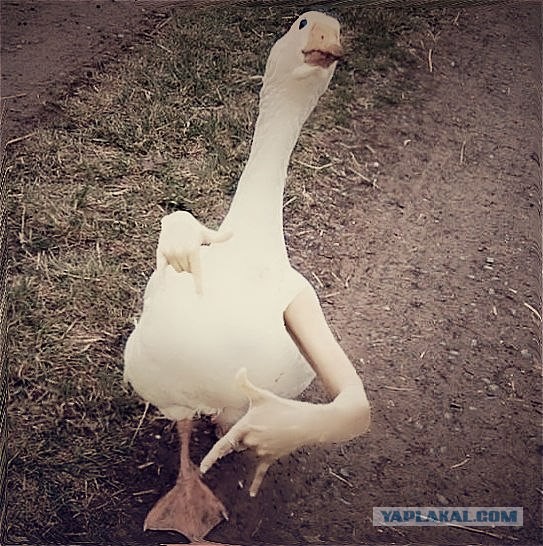 Это мой район, суки! Пошли все вон!