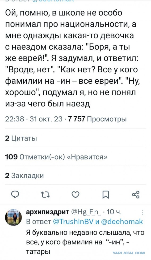 Весёлый полтишок 01.11.23