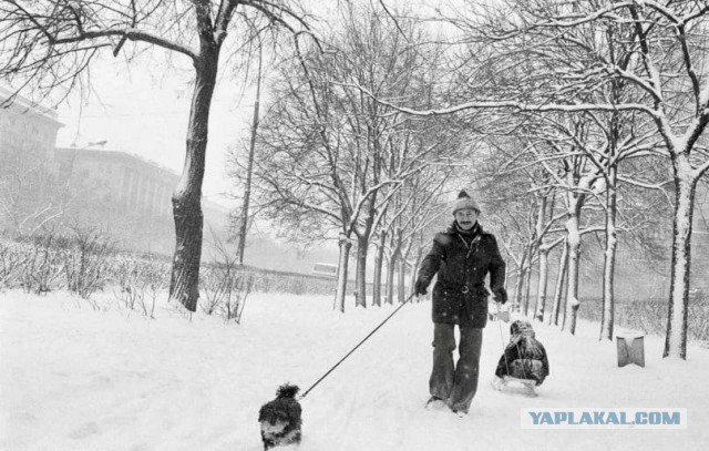 Москва зимняя и новогодняя. Часть третья