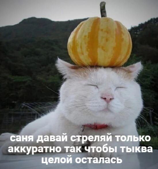 Маленькая пятница
