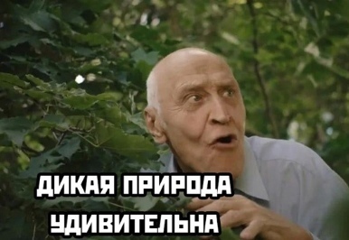 Хуситами навеяло...