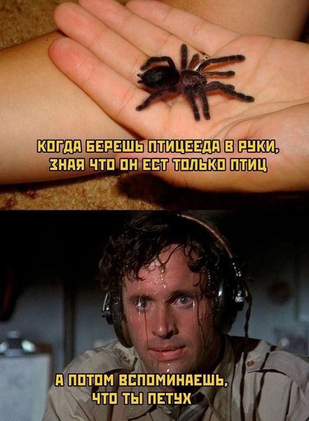 LOLтиночки