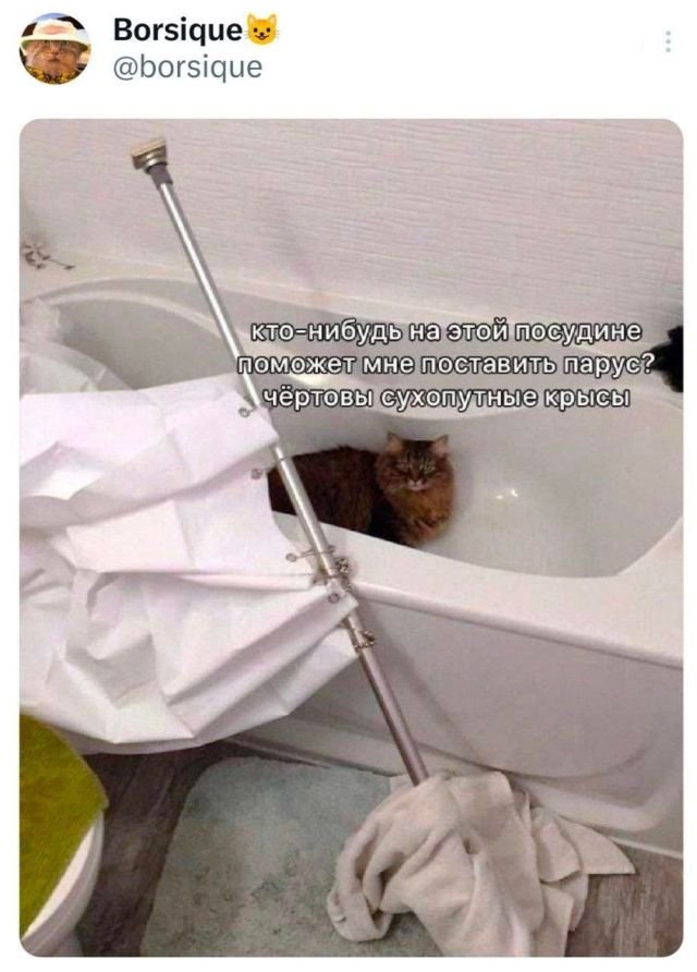 Так себе картинки 09.03.25