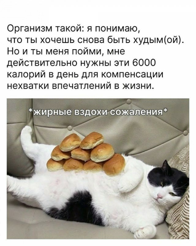 Ещё одна рабочая неделя прошла