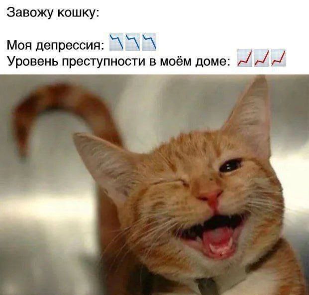 Так себе картинки 01.09.25