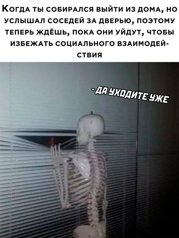 Картинки для деградации 209 (разной степени свежести)