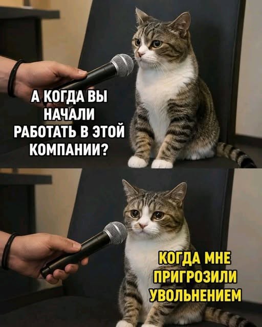 Картинки на среду