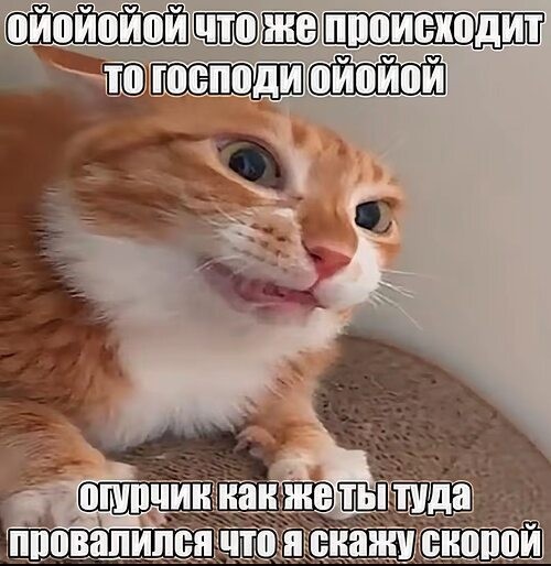 Огурцы сорт "Бабья радость"